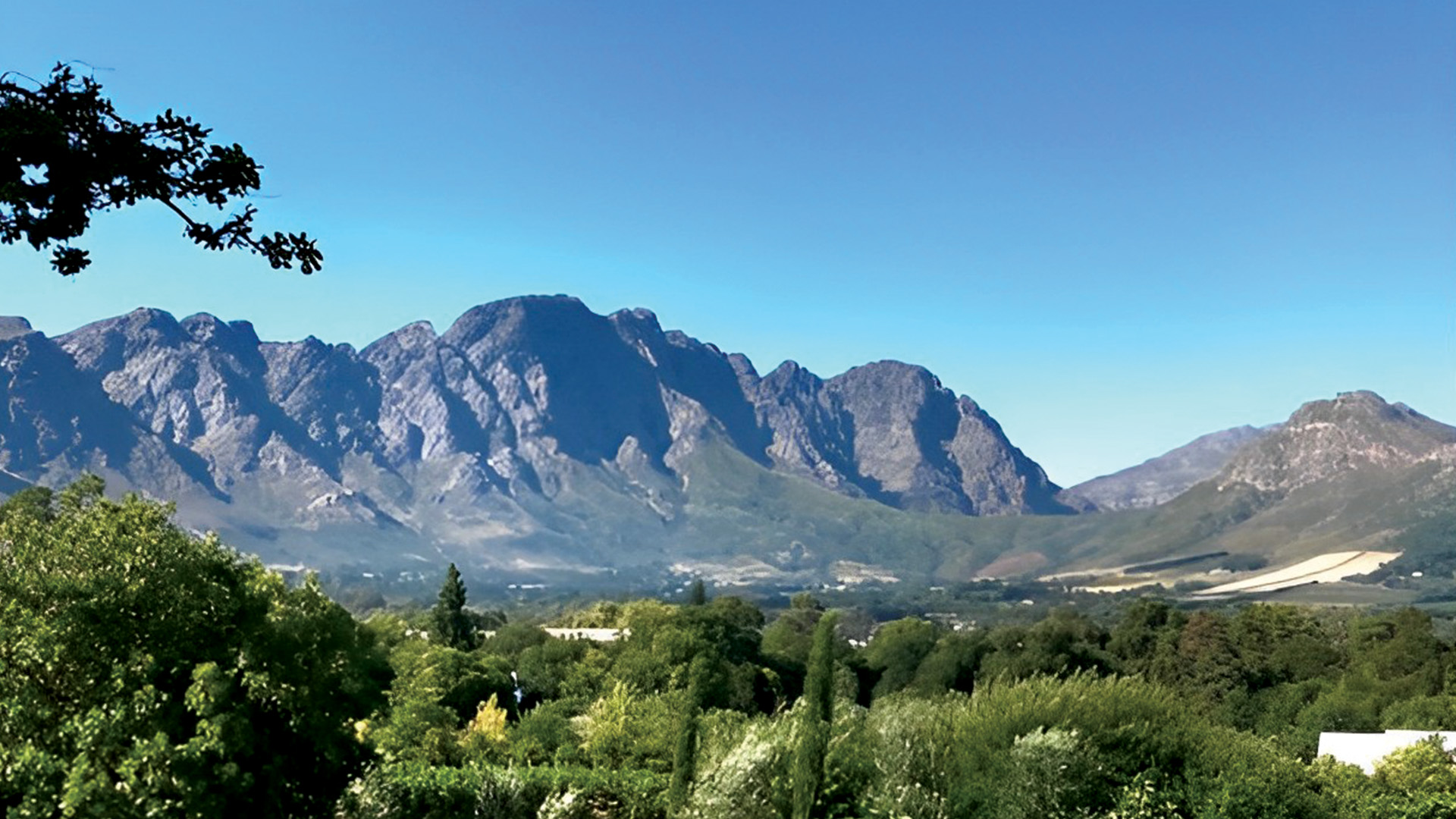 Home-Abroad-in-Franschhoek